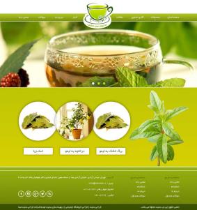 طراحی سایت شرکتی ایران به لیمو